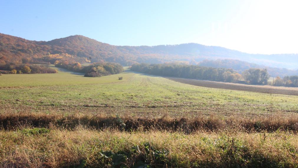 Na predaj - pozemok v Jasenove
