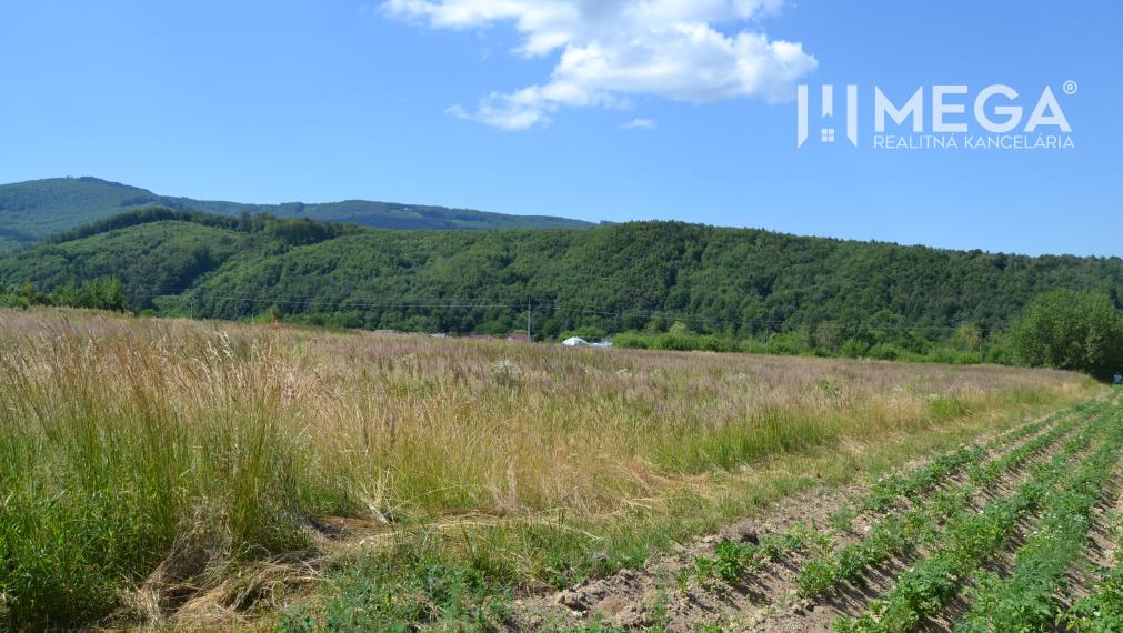 PREDAJ POZEMKU- Zemplínske Hámre-výborná investícia