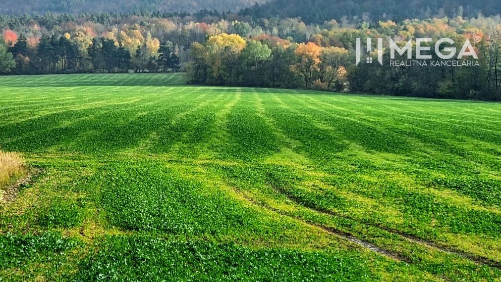Predané -  na predaj  pozemok v obci Kamienka okres Humenné