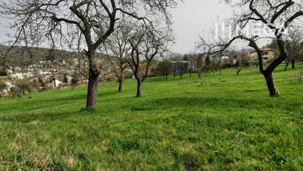 NA PREDAJ dom s veľkým pozemkom v meste Humenné