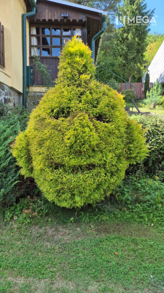 PREDAJ REKREAČNEJ CHATY NA DOMAŠI časť DOBRÁ