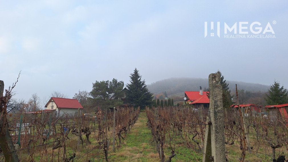 EXKLUZÍVNE NA PREDAJ Chata bez nutnosti investícií - VINNÉ