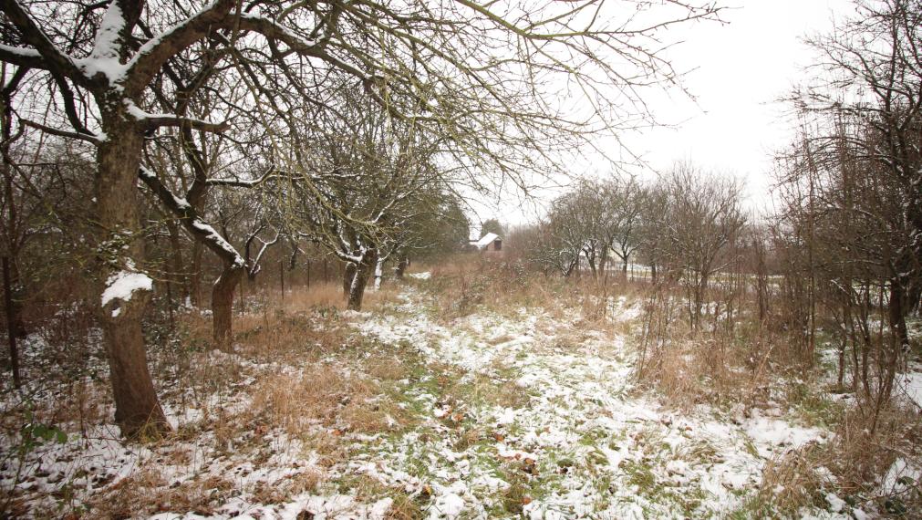 ZNÍŽENÁ CENA!!! - NA PREDAJ: Stavebný pozemok v obci Trhovište
