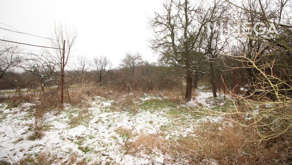 ZNÍŽENÁ CENA!!! - NA PREDAJ: Stavebný pozemok v obci Trhovište