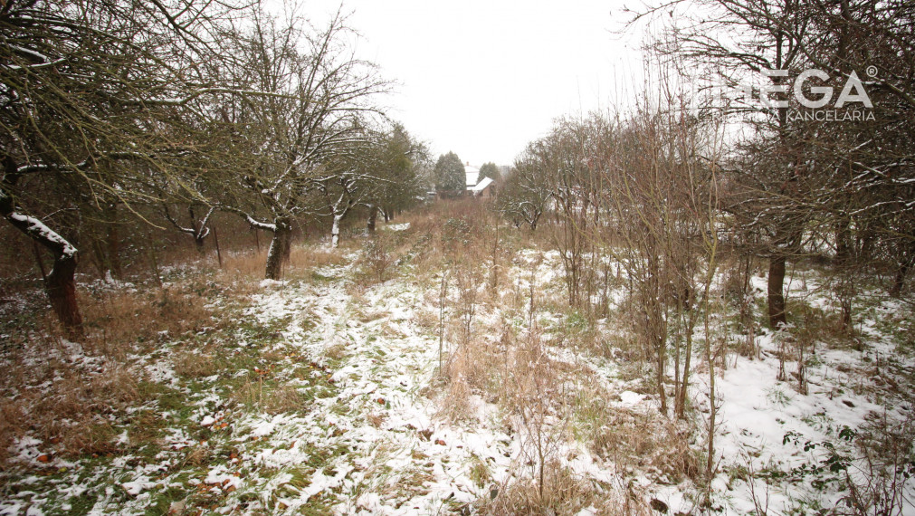 ZNÍŽENÁ CENA!!! - NA PREDAJ: Stavebný pozemok v obci Trhovište