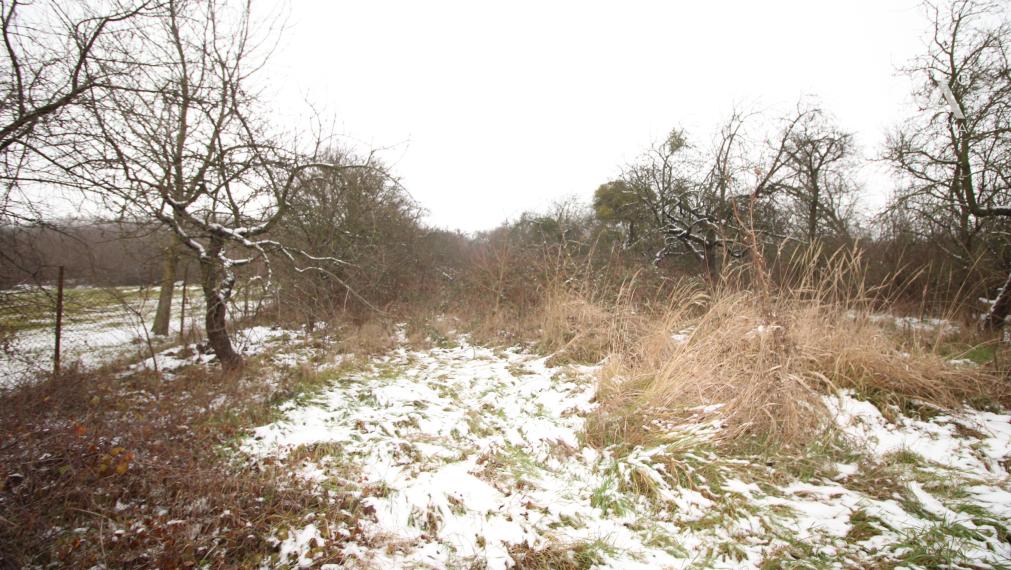 ZNÍŽENÁ CENA!!! - NA PREDAJ: Stavebný pozemok v obci Trhovište