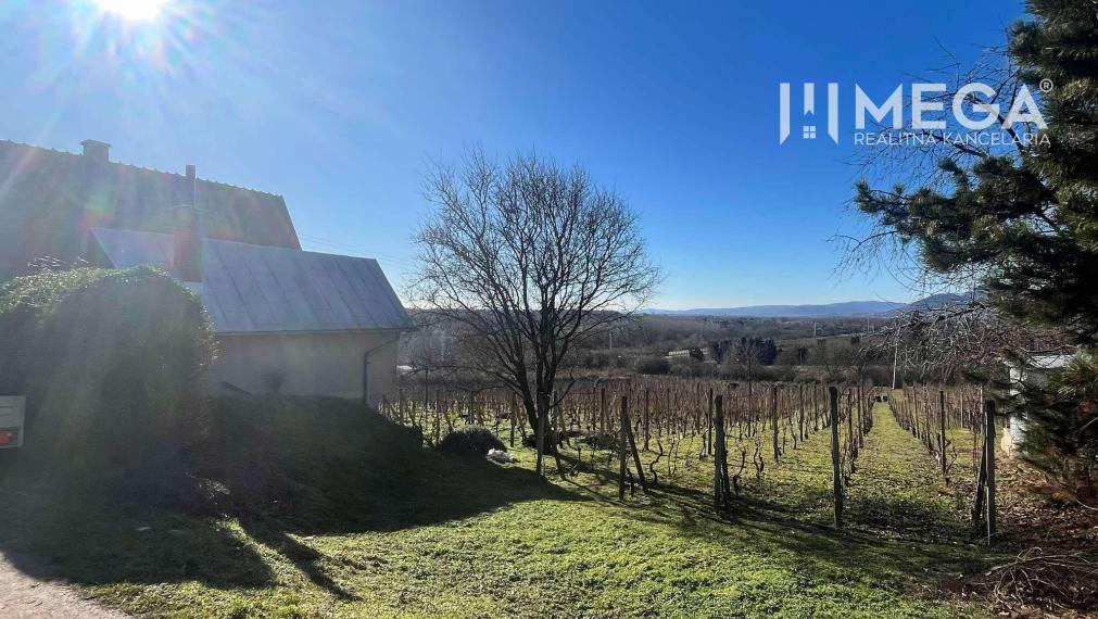 Na predaj chata s vinicou a 2 pivnicami, obec Viničky-Zajačí skok, okres Trebišov