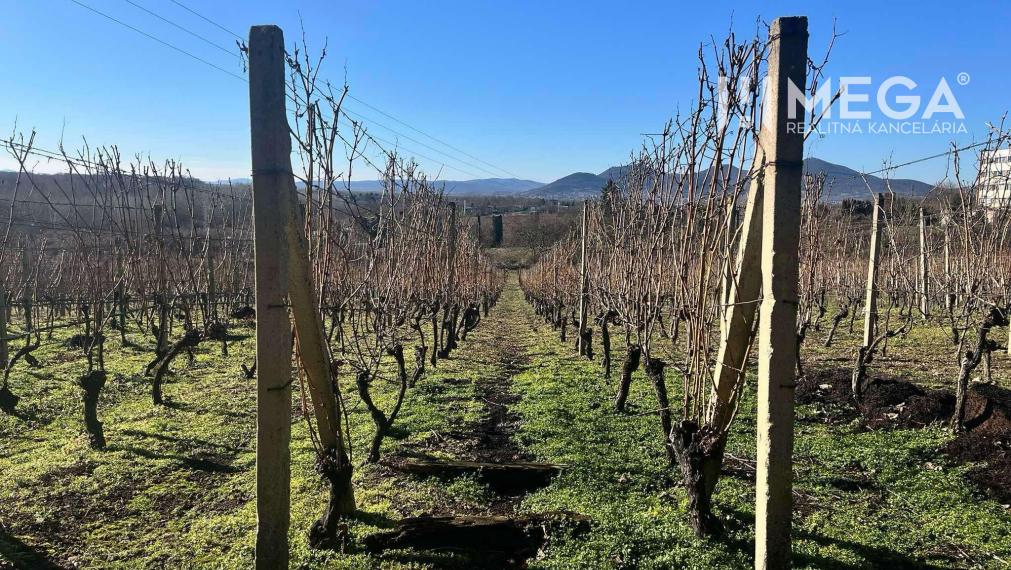 Na predaj chata s vinicou a 2 pivnicami, obec Viničky-Zajačí skok, okres Trebišov