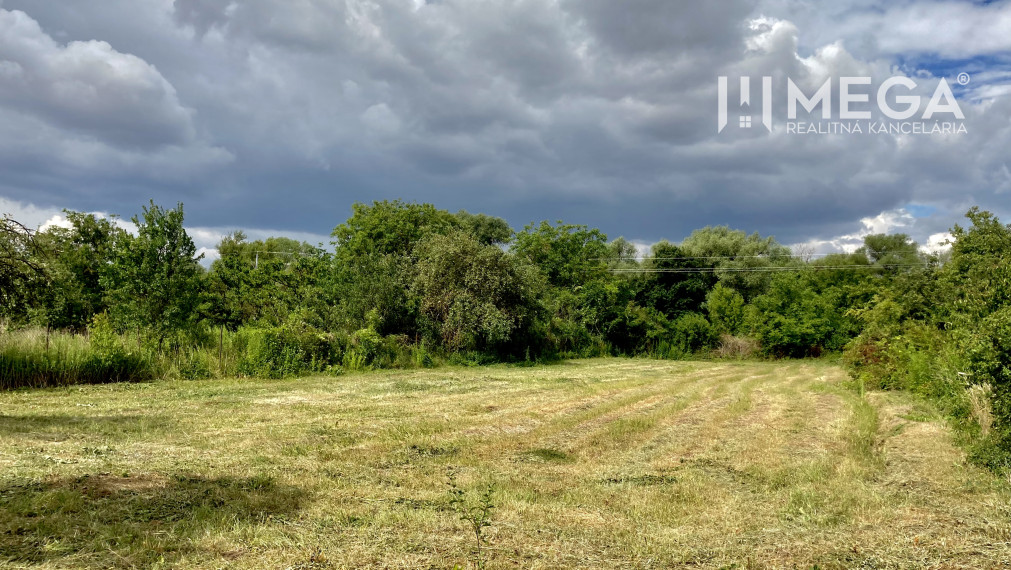 Na predaj pozemok v obci Nižná Myšľa, Košice – okolie.