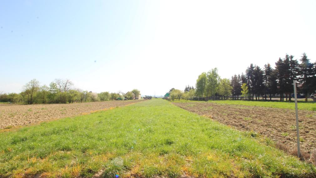 NA PREDAJ: Stavebný pozemok pri hlavnej ceste – Sačurov