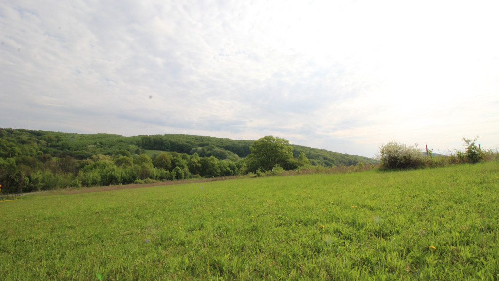 NA PREDAJ POZEMOK V LONE PRÍRODY - VYŠNÝ KAZIMÍR 1196 m²