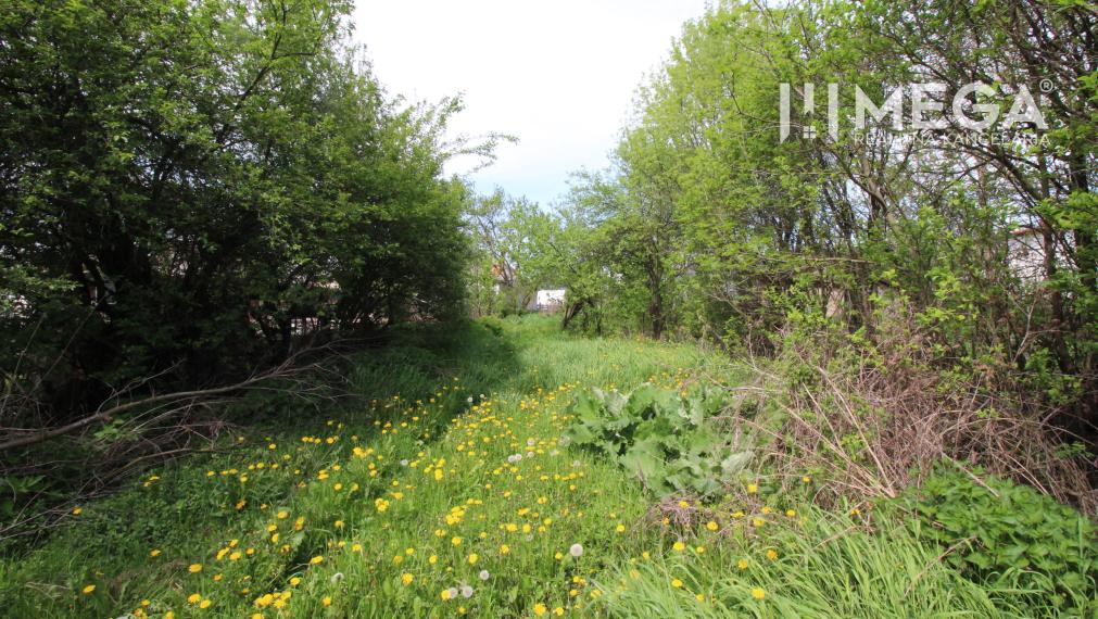 NA PREDAJ: Stavebný pozemok – Senné (okres Michalovce)