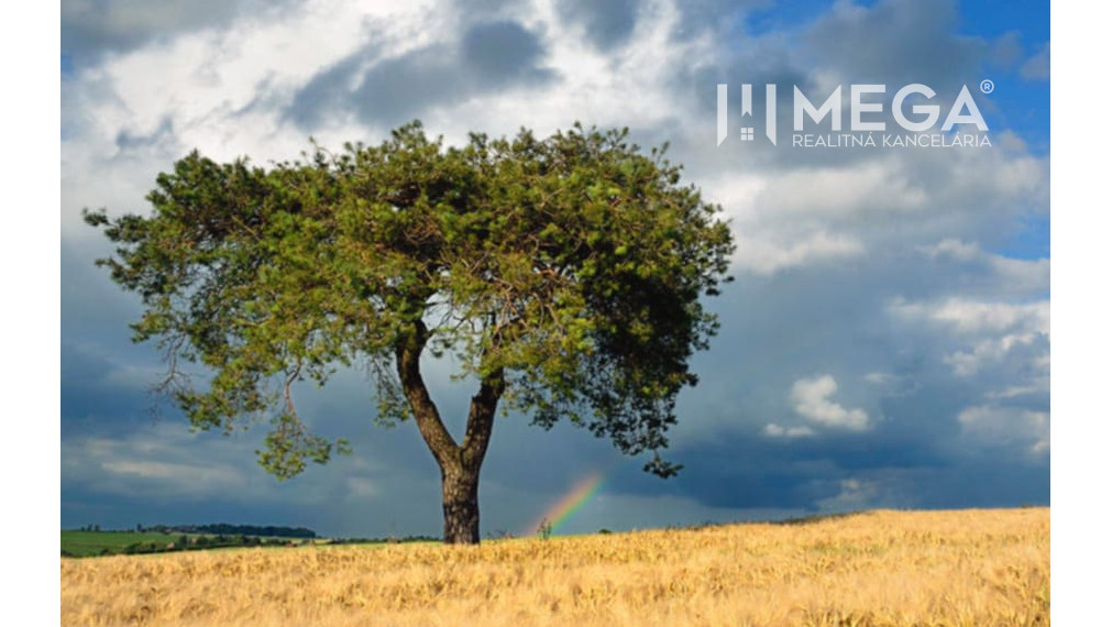 Na predaj rozsiahly pozemok v Čakanovciach