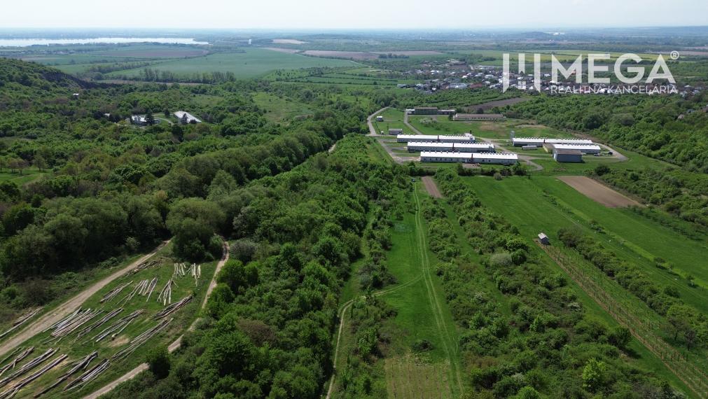 NA PREDAJ: Pozemok s potenciálom – Trnava pri Laborci