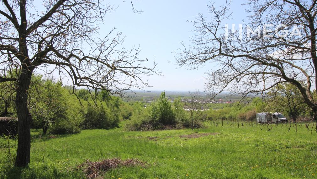 NA PREDAJ: Pozemok s potenciálom – Trnava pri Laborci