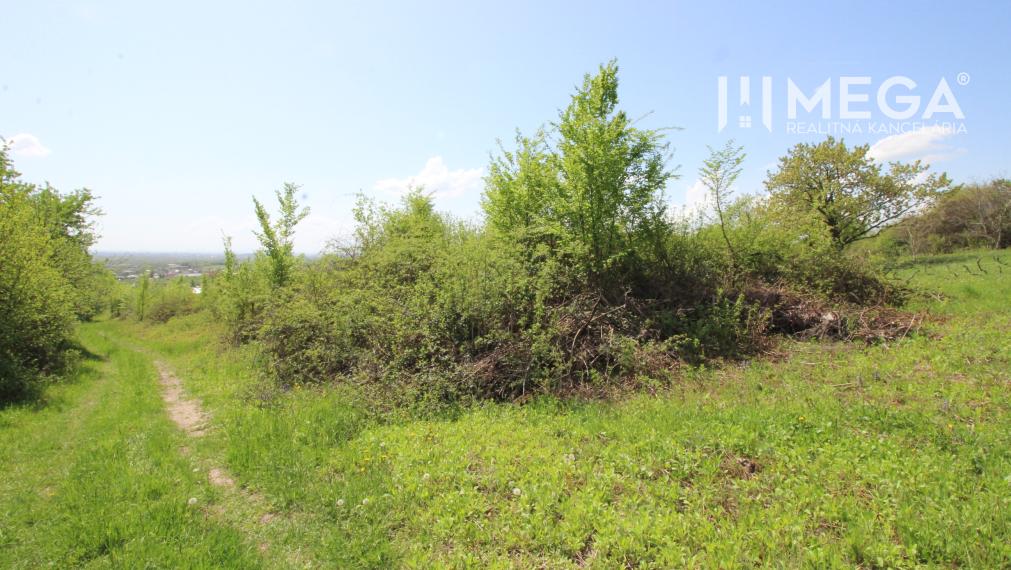 NA PREDAJ: Pozemok s potenciálom – Trnava pri Laborci