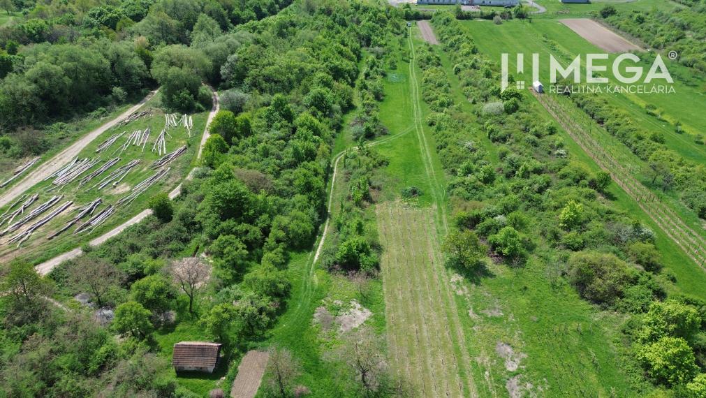 NA PREDAJ: Pozemok s potenciálom – Trnava pri Laborci