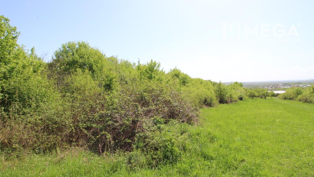 NA PREDAJ: Pozemok s potenciálom – Trnava pri Laborci