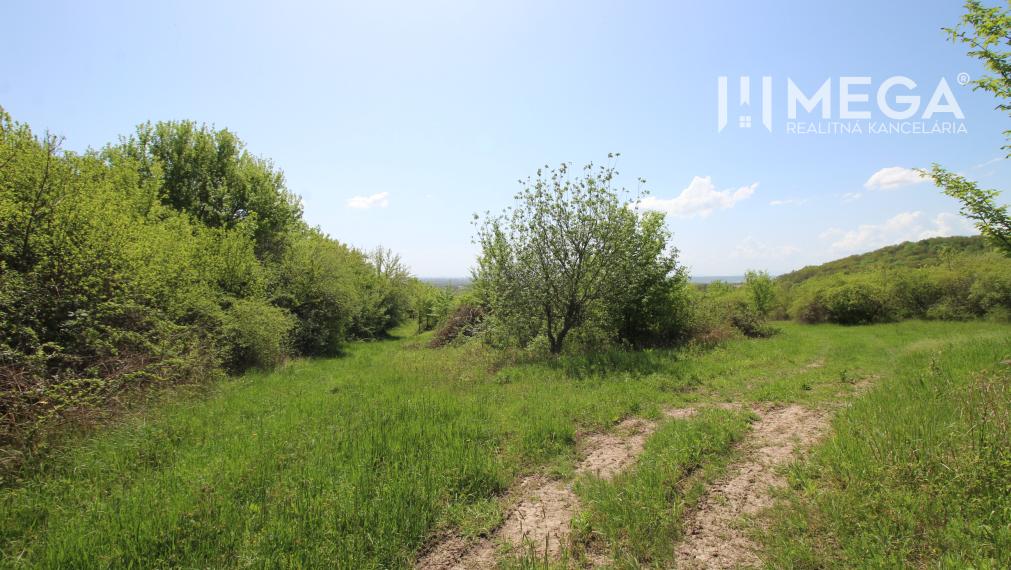 NA PREDAJ: Pozemok s potenciálom – Trnava pri Laborci