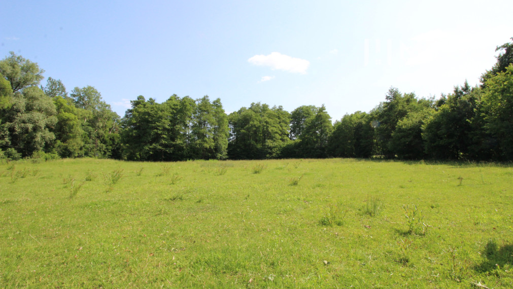 TOP CENA PREDAJ INVESTIČNÉHO POZEMOKU NA MIERU - obec PTIČIE