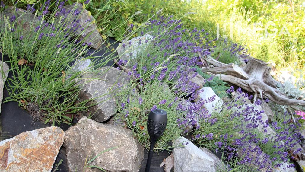 Na predaj záhradná chatka s výborným prístupom a saunou - Humenné