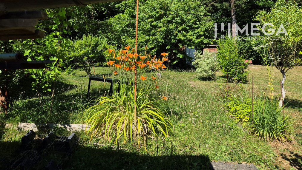 PREDAJ POZEMKU S DREVENOU CHATKOU v HUMENNOM DRIENOVEC