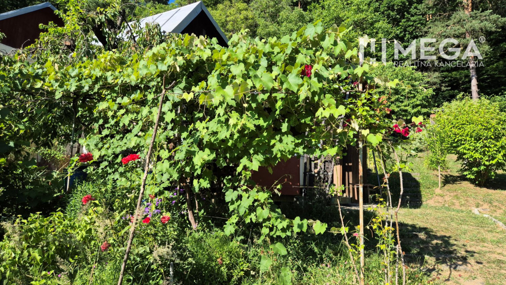 PREDAJ POZEMKU S DREVENOU CHATKOU v HUMENNOM DRIENOVEC
