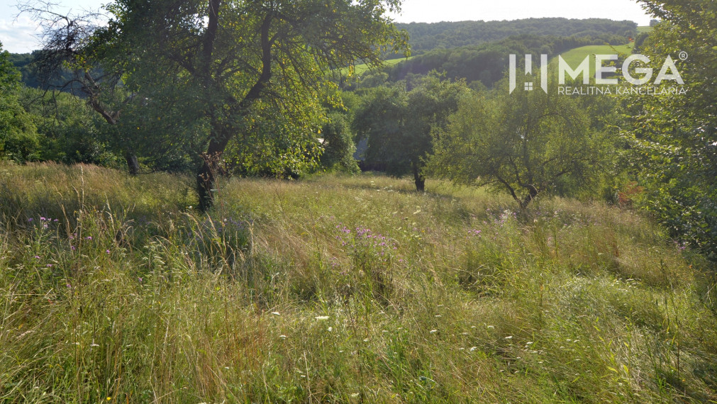 Na predaj rodinný dom v krásnom prostredí obce Vyšné Ladičkovce, exkluzívna ponuka.