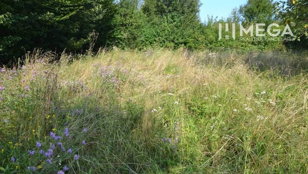 Na predaj rodinný dom v krásnom prostredí obce Vyšné Ladičkovce, exkluzívna ponuka.