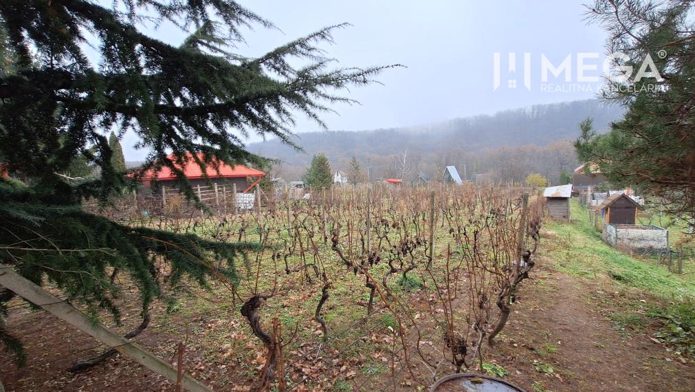 EXKLUZÍVNE NA PREDAJ Chata bez nutnosti investícií - VINNÉ