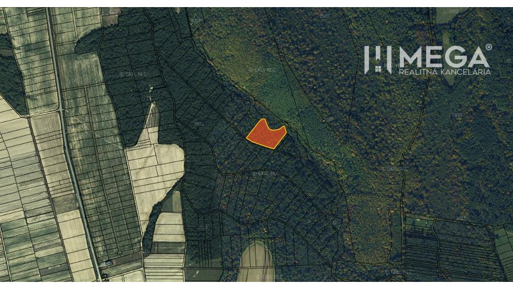 Na predaj rozsiahly pozemok v obci Zemplínske Hámre