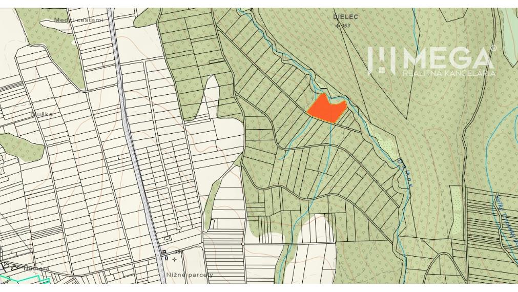 Na predaj rozsiahly pozemok v k.ú. obce Zemplínske Hámre