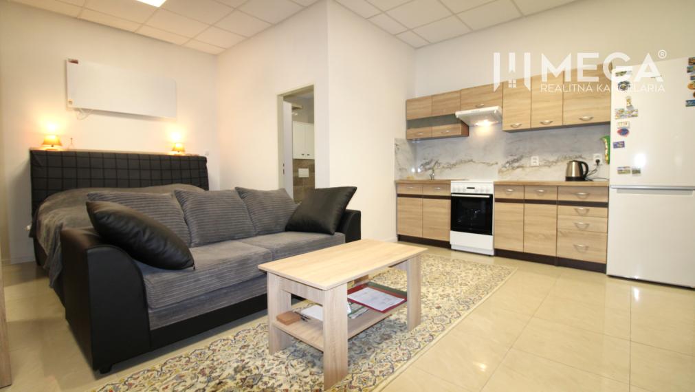 NA PRENÁJOM VEĽKÝ 1-IZBOVÝ BYT S VLASTNÝM PARKOVANÍM HUMENNÉ