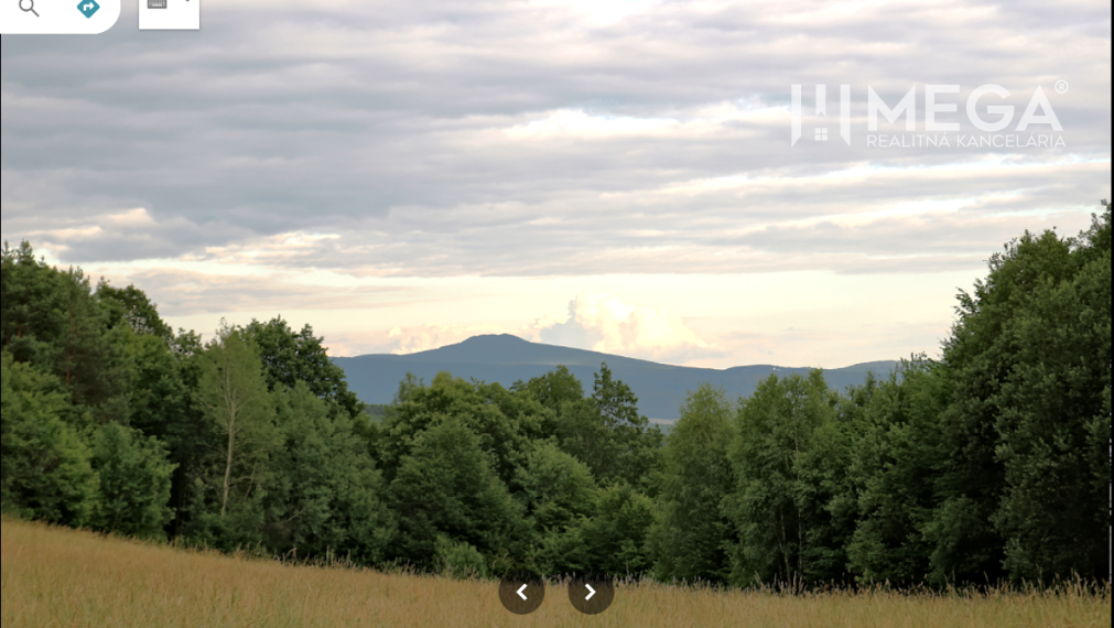 NA PREDAJ LESNÉ INVESTIČNÉ POZEMKY 7,8 HEKTÁRA obec MAŠKOVCE