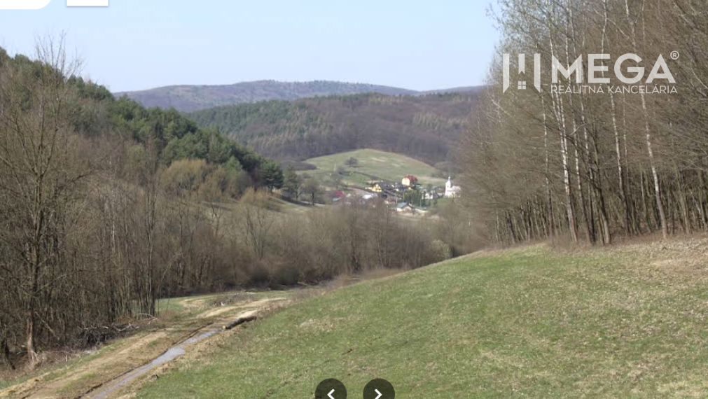 NA PREDAJ LESNÉ INVESTIČNÉ POZEMKY 7,8 HEKTÁRA obec MAŠKOVCE