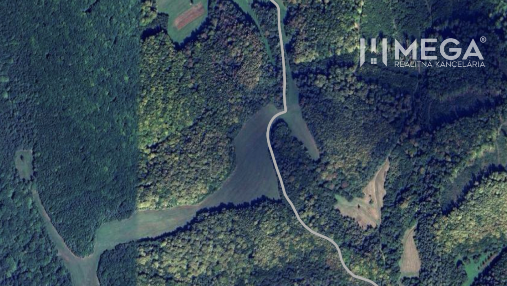 NA PREDAJ LESNÉ INVESTIČNÉ POZEMKY 7,8 HEKTÁRA obec MAŠKOVCE