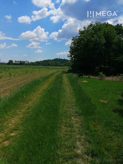 Na predaj záhradný pozemok - Michalovce časť Topoľany