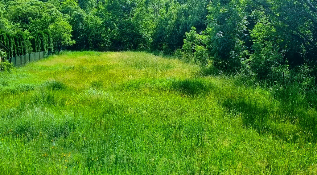 ROZUMNÁ INVESTÍCIA - pozemok v obci Habura okres Medzilaborce