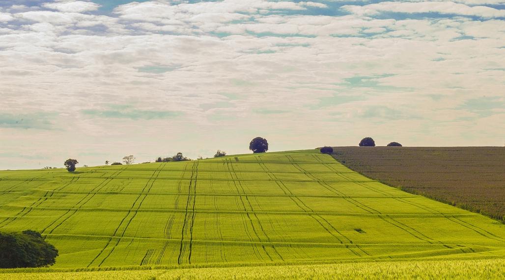 Hľadáme pozemok na kúpu v Košiciach