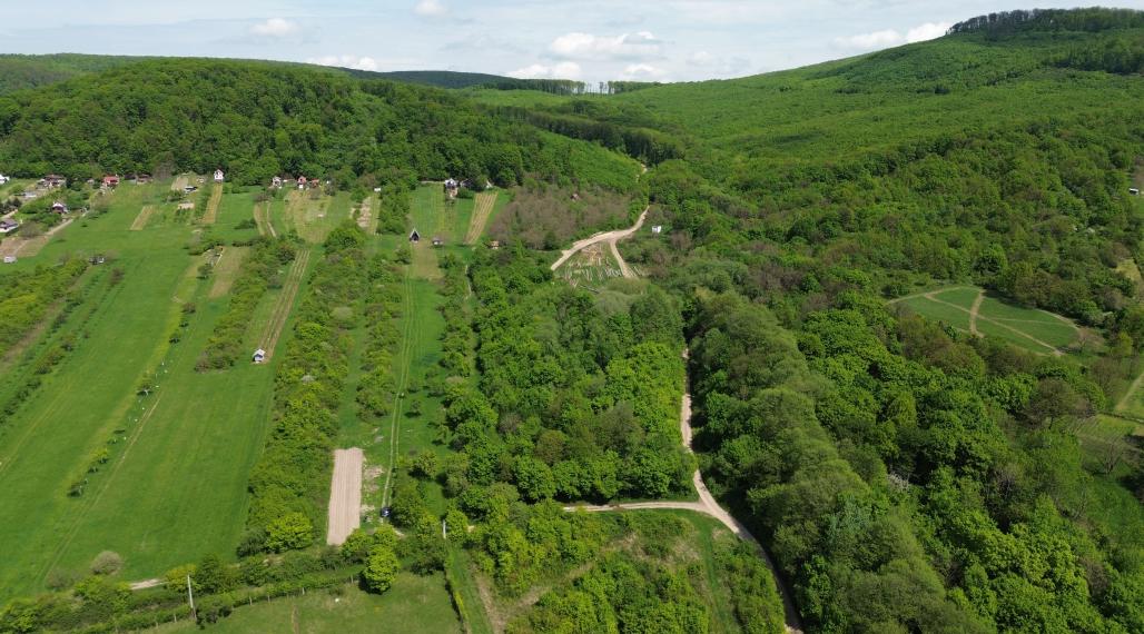 NA PREDAJ: Pozemok s potenciálom – Trnava pri Laborci