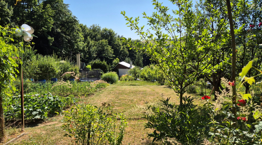 PREDAJ POZEMKU S DREVENOU CHATKOU v HUMENNOM DRIENOVEC