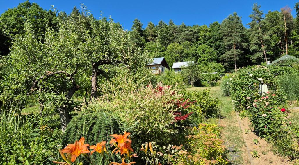 PREDAJ POZEMKU S DREVENOU CHATKOU v HUMENNOM DRIENOVEC