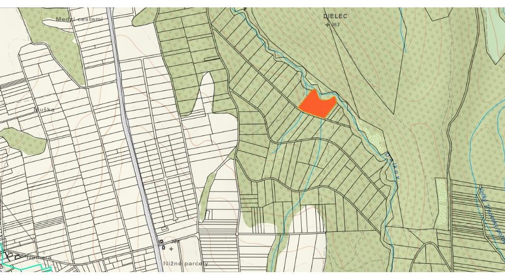 Na predaj rozsiahly pozemok v obci Zemplínske Hámre
