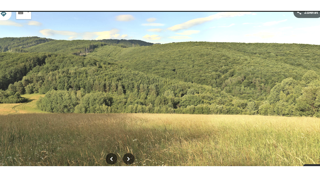 NA PREDAJ LESNÉ INVESTIČNÉ POZEMKY 7,8 HEKTÁRA obec MAŠKOVCE