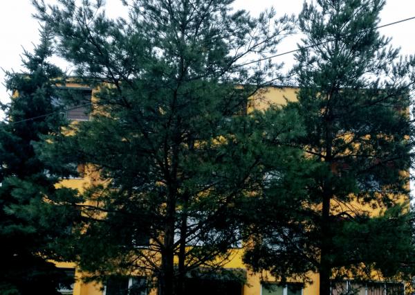 PREDANÉ - Exkluzívne na predaj 1 izbový byt Medzilaborce