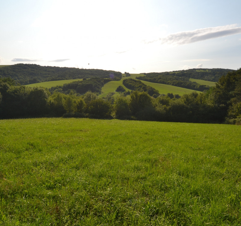 Na predaj rodinný dom na krásnom a veľkorysom pozemku - Vyšné Ladičkovce, exkluzívna ponuka.