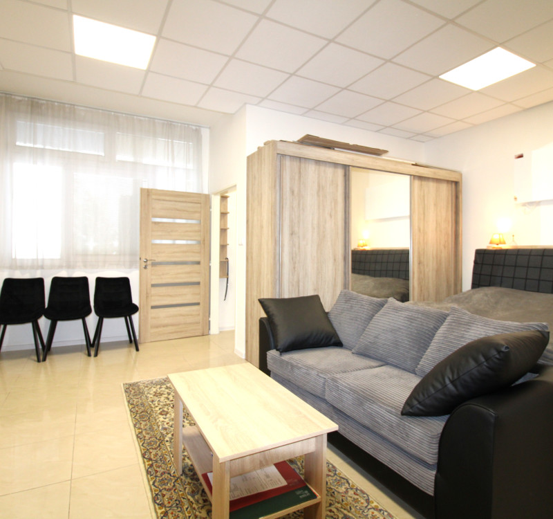 NOVÁ CENA NA PRENÁJOM VEĽKÝ 1-IZBOVÝ BYT S PARKOVANÍM HUMENNÉ