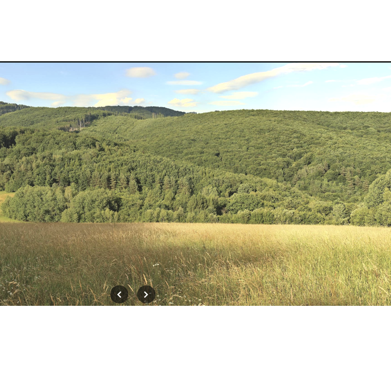 NA PREDAJ LESNÉ INVESTIČNÉ POZEMKY 7,8 HEKTÁRA obec MAŠKOVCE