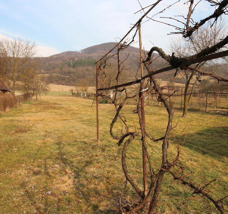 Na predaj rodinný dom na krásnom pozemku v obci Kamienka (Humenné)!
