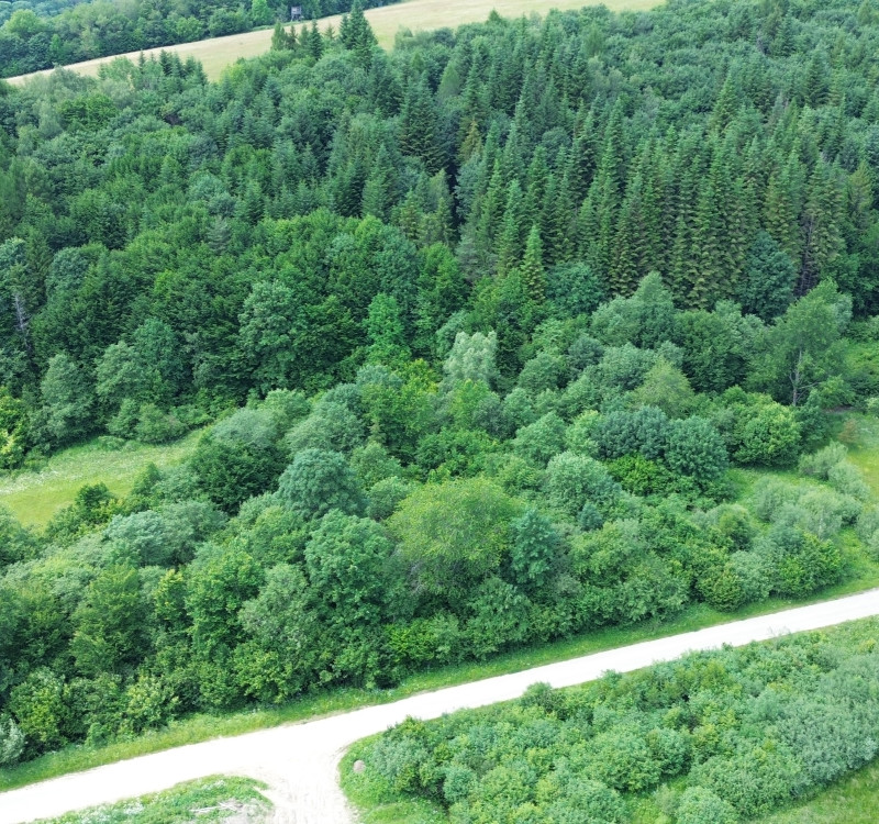 Investičný stavebný pozemok v oblasti Danová - 2 200m2